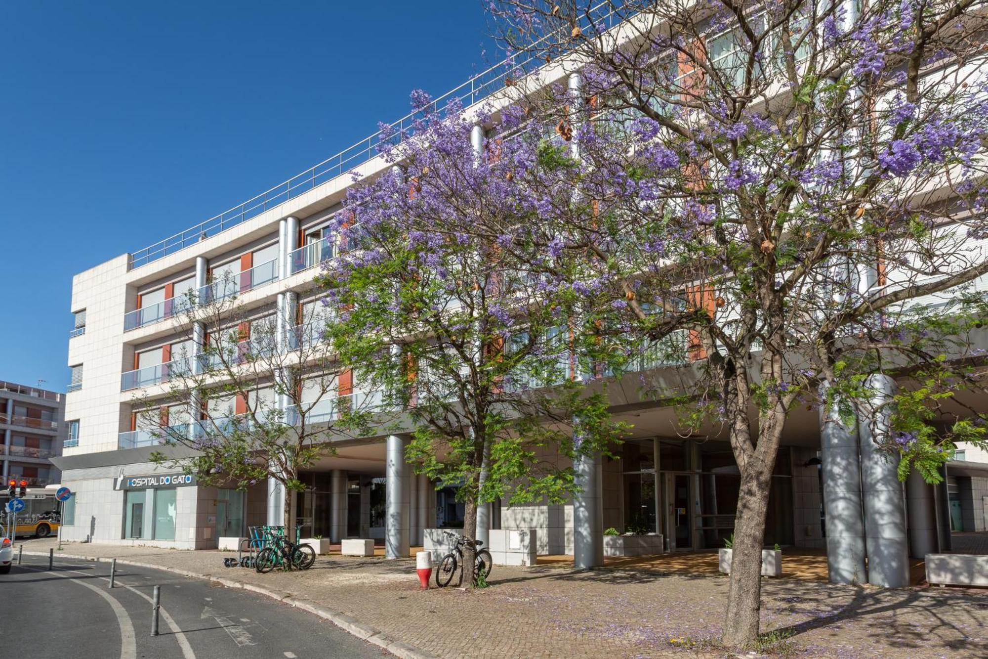 Beguest Premium Lisbon Suites 外观 照片